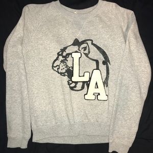 Free state LA lion popover sweatshirt